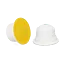 Ginger\u0020\u0026\u0020Lemon\u0020Tea