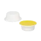 Crème Brûlée